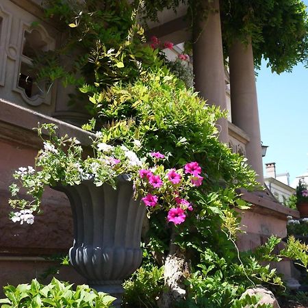 فندق Castelnau كولمار المظهر الخارجي الصورة