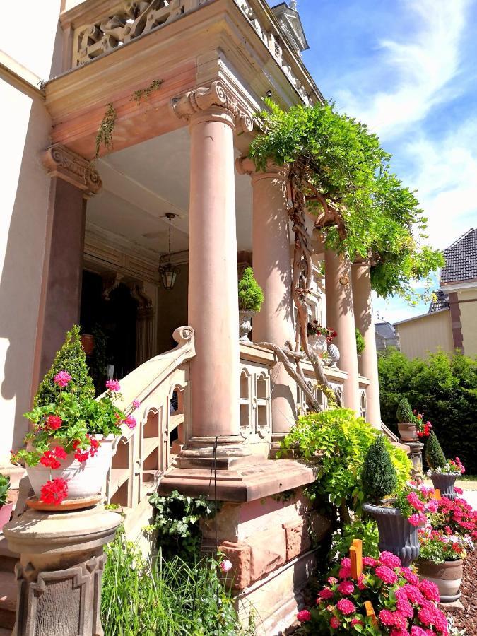 فندق Castelnau كولمار المظهر الخارجي الصورة