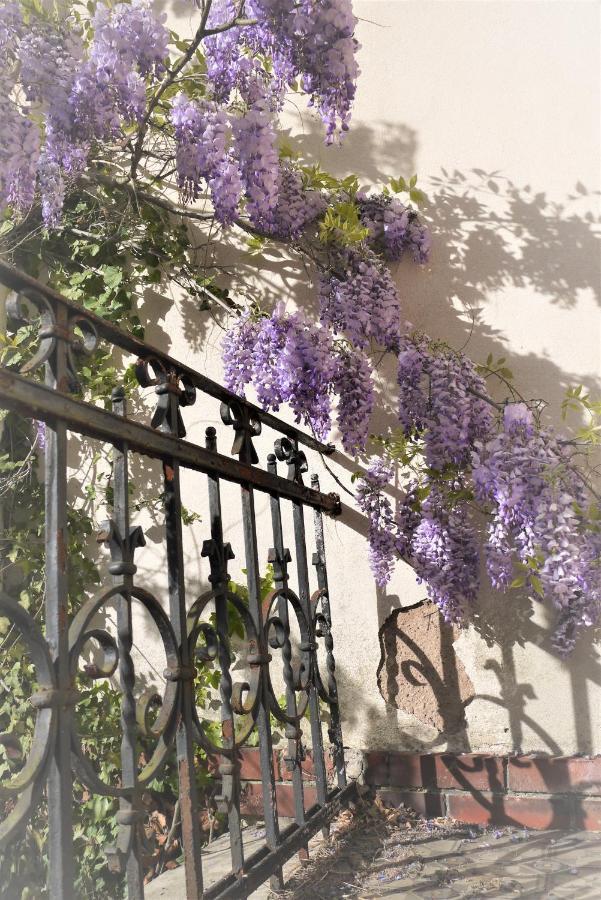 فندق Castelnau كولمار المظهر الخارجي الصورة